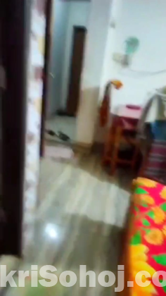 Small Flat / Small Family